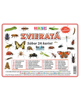 Precvičovacie karty - Zvieratá - hmyz-slovenská verzia